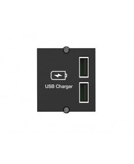 Bachmann Custom Modul USB Doppel-Charger 917.224