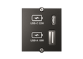Bachmann USB A&amp;C Charger Custom Modul 917.227