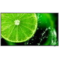 NEC MultiSync E988 98" Essential Large Format Display